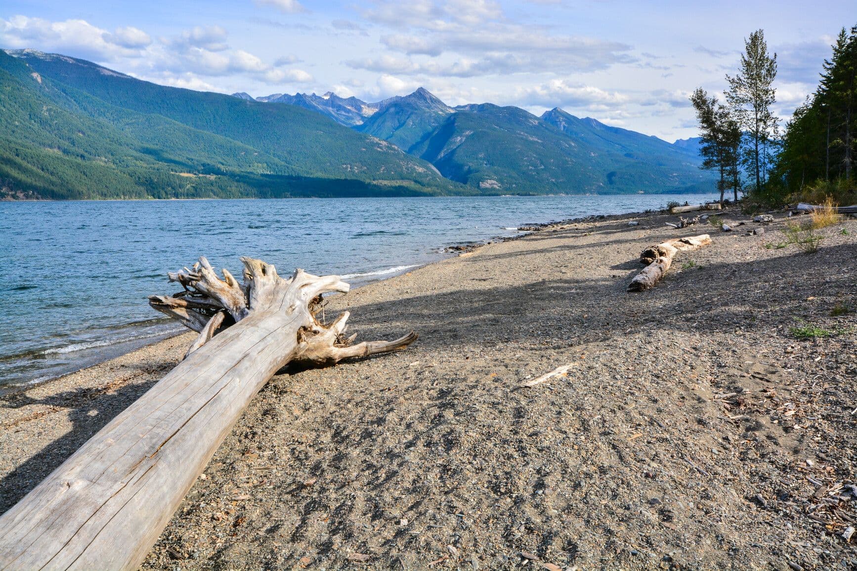 Driftwood on a Kootenay Lake beach with mountains beyond